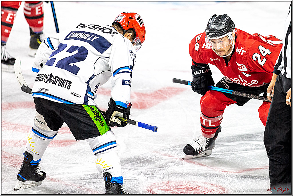 DEL; Koelner Haie - Straubing Tigers; Koeln, 17.11.2019